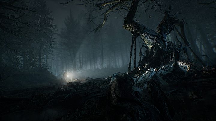 Alan Wake made in Poland. - Blair Witch jednorazowo wystarczy na 5-6 godzin - wiadomość - 2019-08-26