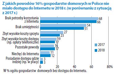 Raport GUS - Jak Polacy korzystają z internetu? - ilustracja #3