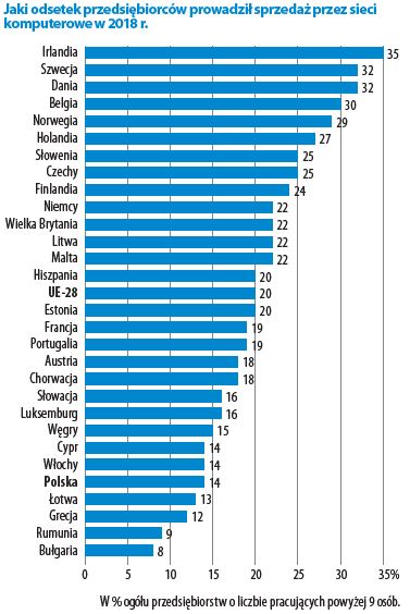 Raport GUS - Jak Polacy korzystają z internetu? - ilustracja #5