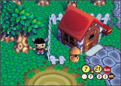 Animal Crossing na Wii jako MMO? - ilustracja #1