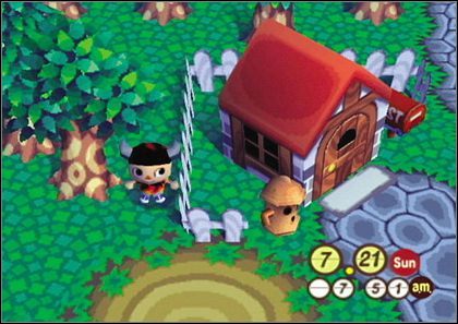 Animal Crossing na Wii jako MMO? - ilustracja #1