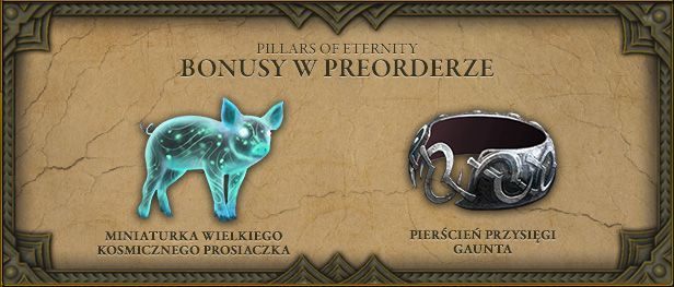 Pudełkowa wersja Pillars of Eternity w planie wydawniczym firmy Cenega - ilustracja #1