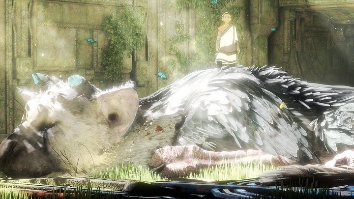 The Last Guardian nadal wygląda urzekająco. - Zamówienia przedpremierowe The Last Guardian przewyższyły oczekiwania Sony - wiadomość - 2016-12-03