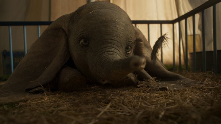 Dumbo wygrał weekendowe Box Office w USA, lecz czy Disney może mieć powody do zadowolenia? - Dumbo wzleciał na szczyt box office, choć nie zrobił furory - wiadomość - 2019-04-01