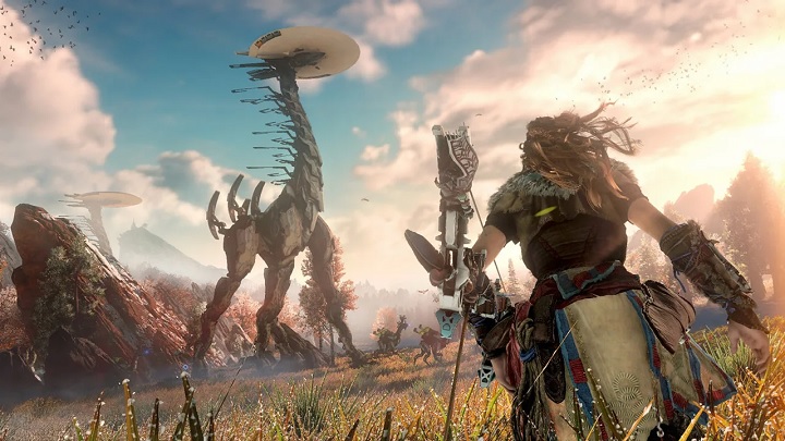 Wszelkie znaki na niebie i ziemi wskazują na powrót Aloy. - Nowe oferty pracy w Guerrilla Games - Horizon Zero Dawn 2 prawie potwierdzone - wiadomość - 2019-11-04