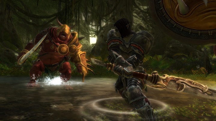 Recenzje Kingdoms of Amalur: Re-Reckoning - skromnego remastera RPG - ilustracja #1