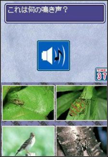 NDS źródłem wiedzy o insektach - ilustracja #1