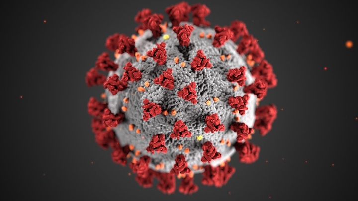 Ogólnodostępne zdjęcie koronawirusa i tak jest sprzedawane za 2000 zł - ilustracja #1