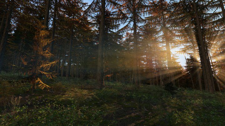 DayZ, choć stało się obiektem żartów, nadal potrafi zachwycić klimatem. -  DayZ - zobacz aktualizację, która wprowadzi grę w wersję beta - wiadomość - 2017-09-27