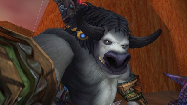 Takie tam z zaskoczenia podczas dzisiejszego rajdu. - World of Warcraft – nowy patch pozwala graczom robić „selfie” - wiadomość - 2015-01-27