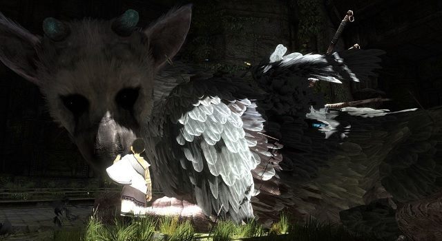 Szybko The Last Guardian nie zobaczymy… - The Last Guardian nie zostanie pokazane na Tokyo Game Show - wiadomość - 2014-08-14