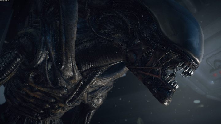 Możliwe, że znów staniemy oko w oko z Obcymi. Chwila… czy oni mają oczy? - Alien: Isolation 2 w produkcji? [AKTUALIZACJA: Eurogamer zaprzecza] - wiadomość - 2017-04-27