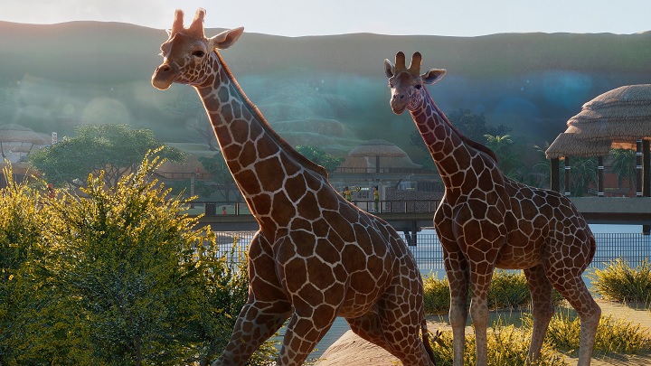 Zapewnienie odpowiednich warunków bytowych naszym podopiecznym to jeden z kluczy do sukcesu w grze Planet Zoo. - Planet Zoo – trailer na gamescom i data startu beta-testów - wiadomość - 2019-08-20