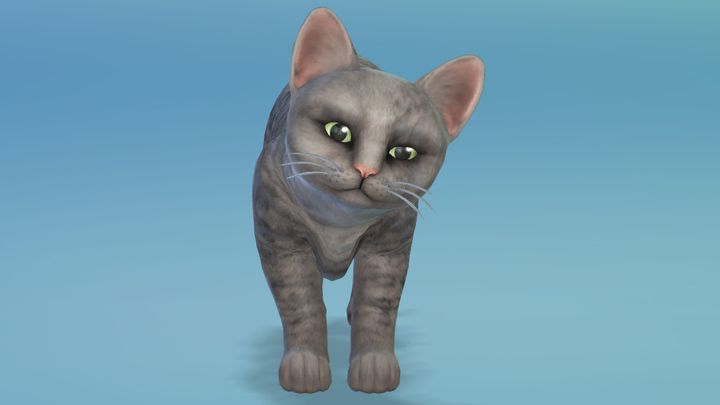 Słynny mem z kotem odtworzony w The Sims 4 - ilustracja #1