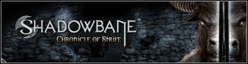 Shadowbane jawne dla graczy - ilustracja #1