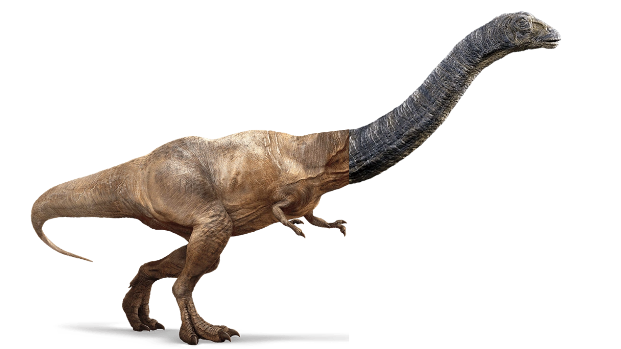 Reżyser Jurassic World 3 od sześciu lat otrzymuje zabawną prośbę - ilustracja #1