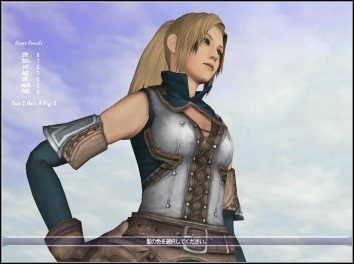 Final Fantasy XI szczegóły związane z wersją PC - ilustracja #1