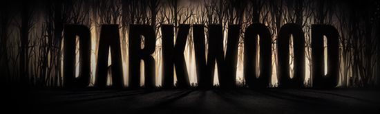 Darkwood walczy o fundusze na Indiegogo – wesprzyj polski survival horror - ilustracja #2