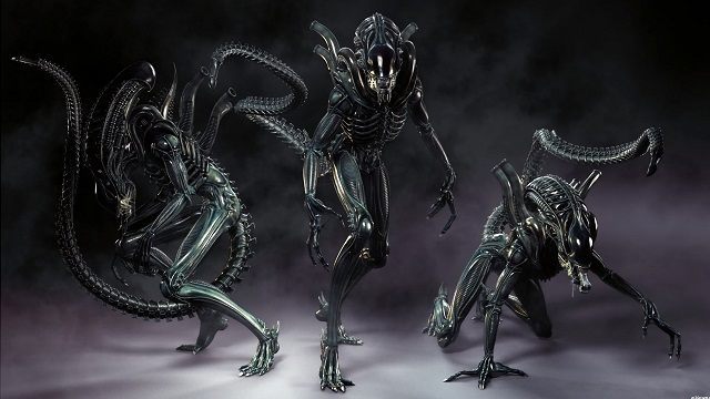 Ksenomorfy przeszły pod opiekę Neilla Blomkampa. - Obcy - piąta część filmowego cyklu będzie kontynuacją Aliens [news zaktualizowany] - wiadomość - 2015-02-27