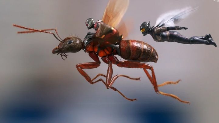 W drugim filmie główny bohater otrzyma partnerkę. - Nowe informacje o fabule Ant-Man and the Wasp - wiadomość - 2018-04-20