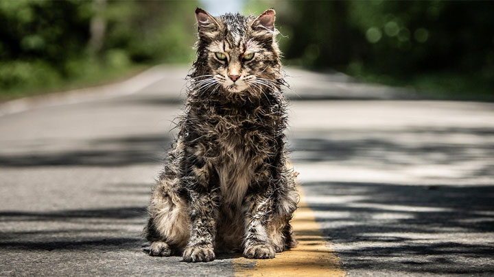 Film obejrzymy w przyszłym roku. - Pet Sematary – zwiastun nowej adaptacji Smętarza dla zwierzaków - wiadomość - 2018-10-11