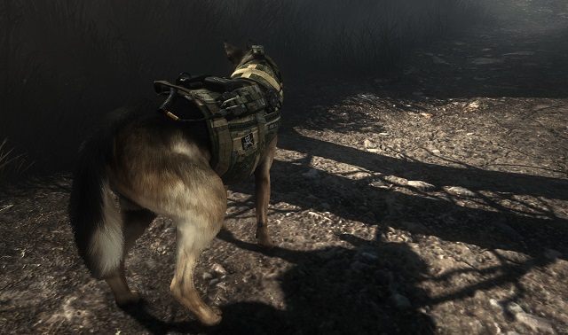 Riley – zarośnięty bohater gry Call of Duty: Ghosts. - Dynamic Fur od firmy Nvidia to teraz HairWorks. Z technologii skorzystają także posiadacze kart AMD - wiadomość - 2014-01-17