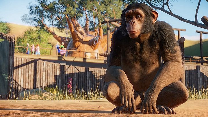 Za kilka miesięcy stworzymy najlepsze zoo na świecie. - Pierwszy gameplay z Planet Zoo - prawdziwy raj dla fanów zwierząt - wiadomość - 2019-06-15