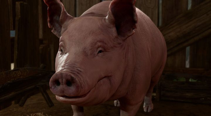 The pig from BG3 was mistakenly inserted into the paragraph about Hasbro.  Source: Baldur's Gate 3, Larian Studios - Why won't Baldur's Gate 4 be made, what has Hasbro done and what is Larian Studios working on in the Polish branch?  - Message - 03-24-2024