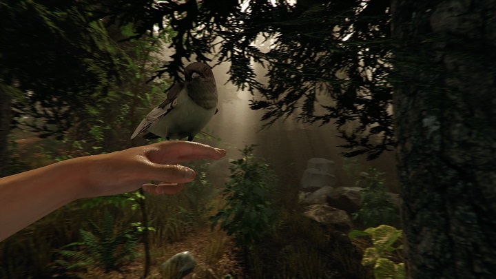 The Forest wkrótce opuści niechlubne szeregi gier znanych z wiecznego Wczesnego Dostępu. - The Forest zadebiutuje 30 kwietnia na Steamie - wiadomość - 2018-04-06