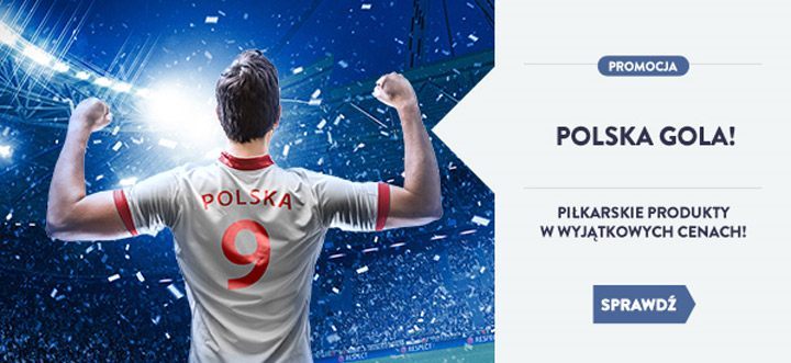 Specjalna promocja na Steam z okazji Euro 2016 - ilustracja #1