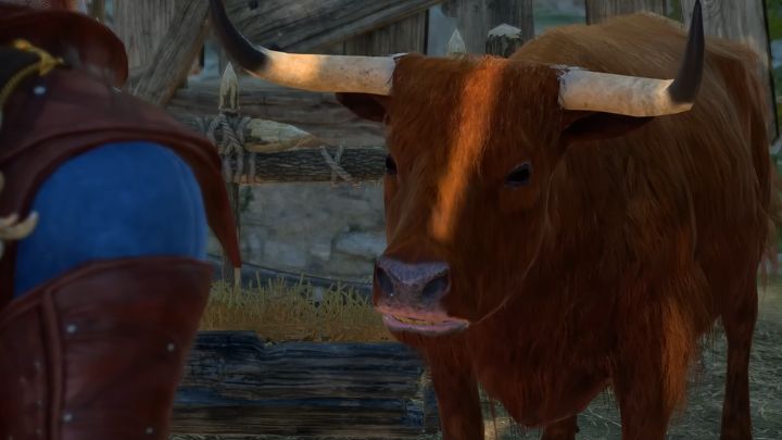 W najnowszym patchu do BG3 wół może popsuć wam romans z Karlach. Na szczęście jest na to sposób - ilustracja #1