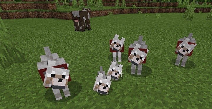 O tym detalu z Minecrafta wielu nie wiedziało, a może uratować Wasze pieski - ilustracja #2