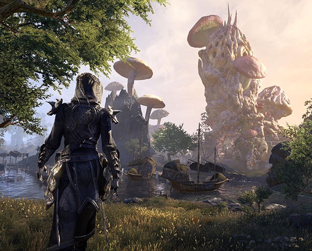 Źródło: ZeniMax Online Studios
