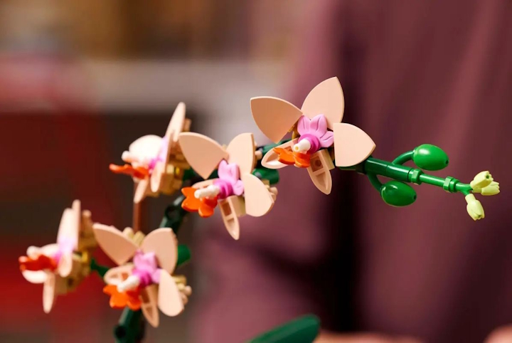 Piękno przyrody ubrane w klockowe możliwości. Źródło: LEGO. - Dzięki LEGO mogę być botanicznym czempionem! Ten kwiatek z duńskich klocków przetrwa w rękach każdego rośliniarza-amatora - wiadomość - 2025-01-27