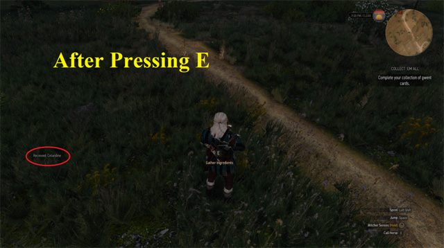 Wiedźmin 3: Dziki Gon mod AutoLoot (Herbs Only) v.1.49