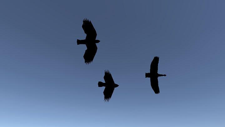 The Elder Scrolls II: Daggerfall mod Birds in Daggerfall v.2.0