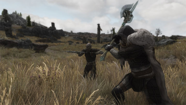 The Elder Scrolls V: Skyrim mod Wildcat - Combat of Skyrim v.7.00