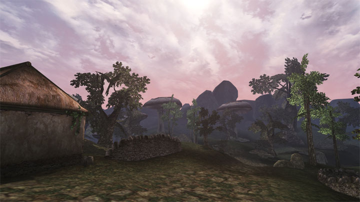 The Elder Scrolls III: Morrowind mod The Elder Scrolls III: Morrowind Fuillscreen Border Fix