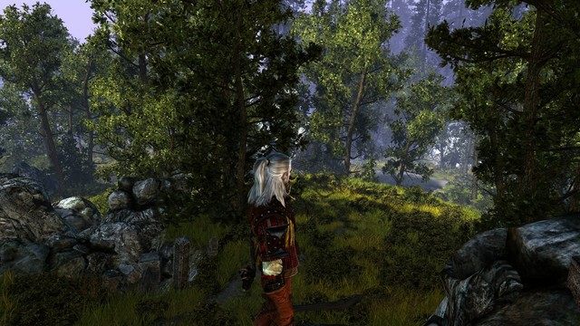 the witcher 2 assassins of kings demo pc the witcher 2 assassins of kings demo pc