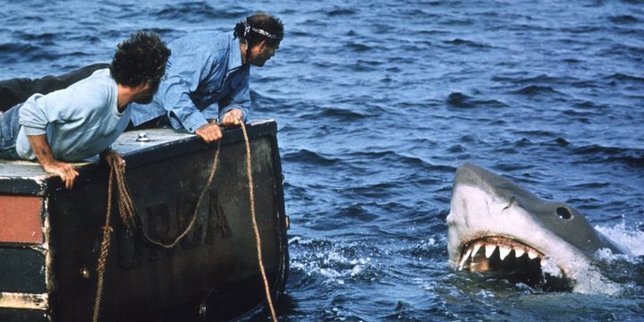 Po prawie 50 latach Steven Spielberg „naprawdę żałuje” i czuje się odpowiedzialny za masakrę tego gatunku zwierząt - ilustracja #1
