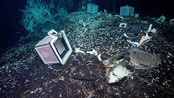 Właśnie znaleźliśmy jeden z najbardziej ekstremalnych ekosystemów na Ziemi - znajduje się pod dnem Oceanu - ilustracja #2