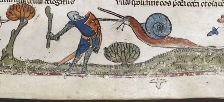Rycerz kontra ślimak z książki Smithfield Decratals, Tuluza, ok. 1300-1340 r.