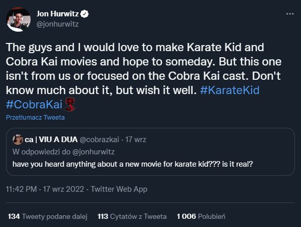 Twórca Cobra Kai wyjaśnia, czy nowy Karate Kid będzie powiązany z serialem - ilustracja #1