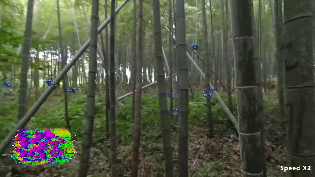 Rój dronów leci przez bambusowy las. Efektowne wideo z Chin - ilustracja #1