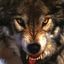 Gruppenfuhrer Wolf