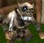 AT-ZAKO