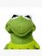 kermit73