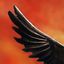 Ravn79