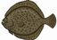 Turbot