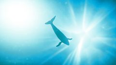 Seabed Settlers - screen - 2025-07-08 - 571502